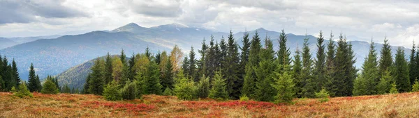 Vue sur la chute de Gorgan, Siniak, Javornik — Photo