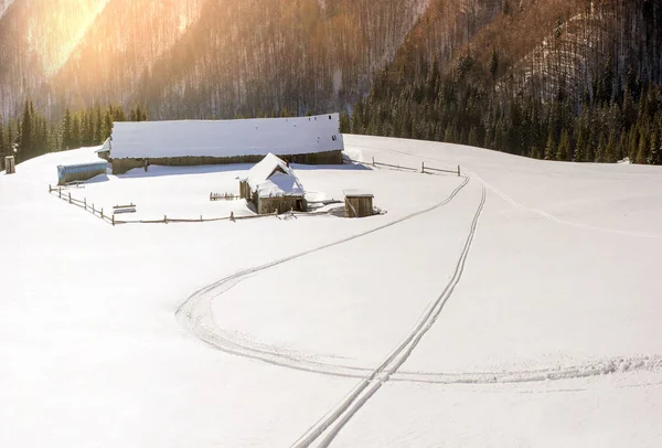 Casas cubiertas de nieve en los Cárpatos — Foto de Stock