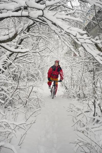 Kar yağışı bisikletle bir adam girer — Stok fotoğraf