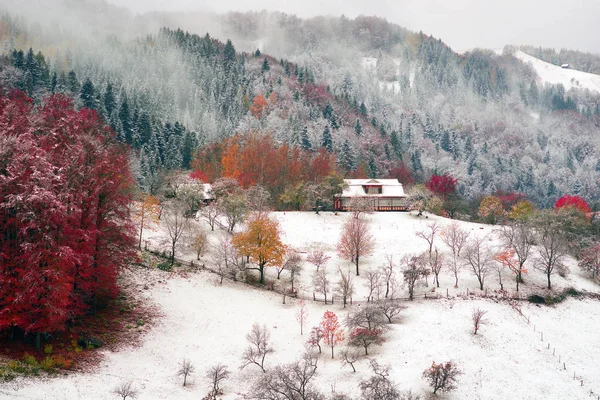 Prima nevicata nel villaggio dei Carpazi — Foto Stock