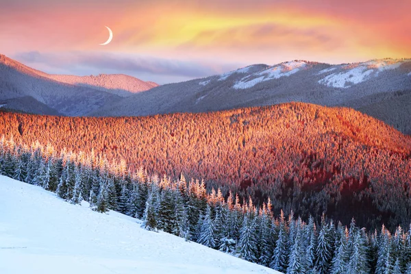 Gelida alba nelle montagne dei Carpazi — Foto Stock