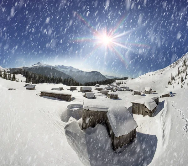 Casas cobertas de neve nos Cárpatos — Fotografia de Stock