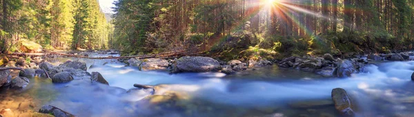 Річка на сході сонця в карпатському лісі — стокове фото