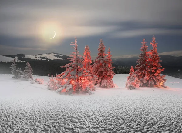 Noche de invierno helada de bautizo — Foto de Stock