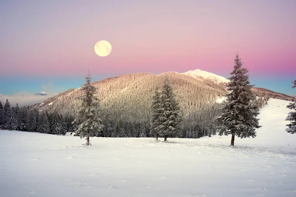 Frosty sunrise in the Carpathian mountains — стоковое фото