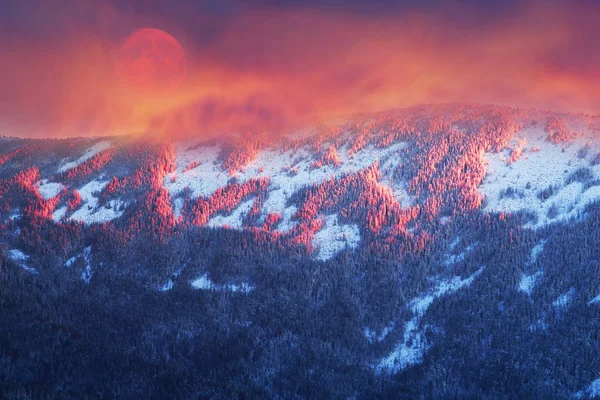 Frostiga klockslagen i Karpaterna — Stockfoto