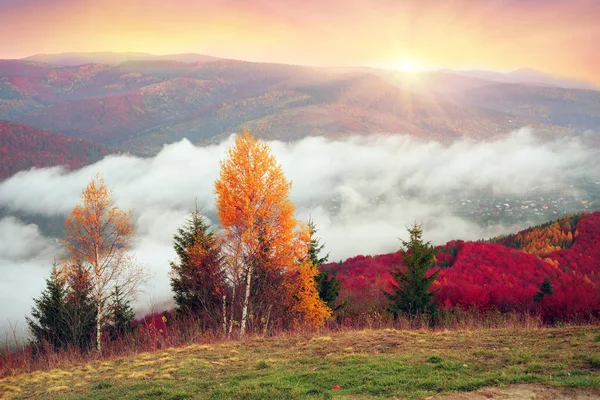 Otoño en Pokutsko-Bucovina, Cárpatos —  Fotos de Stock