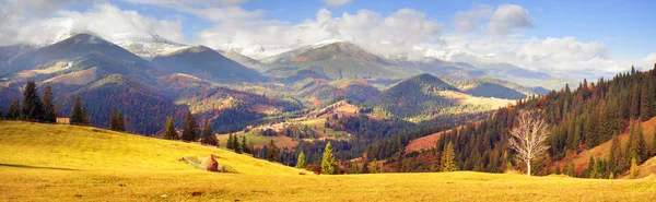 Herbstwald in den Bergen — Stockfoto