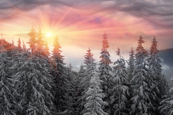 Frosty zonsopgang in de Karpaten — Stockfoto