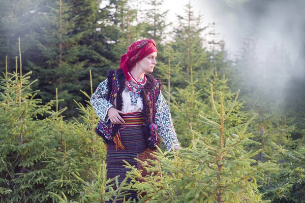 Menina em vestido tradicional posando em montanhas — Fotografia de Stock