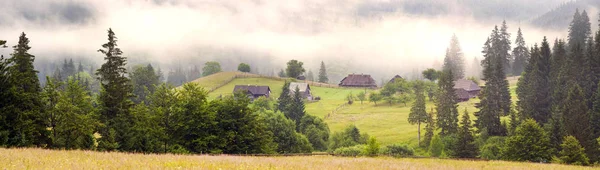 Azienda floricola nelle montagne dei Carpazi — Foto Stock