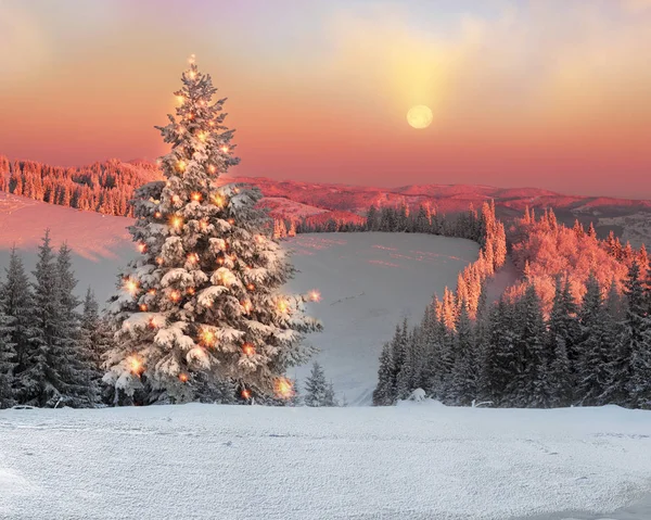 Magische kerstboom in de Karpaten — Stockfoto