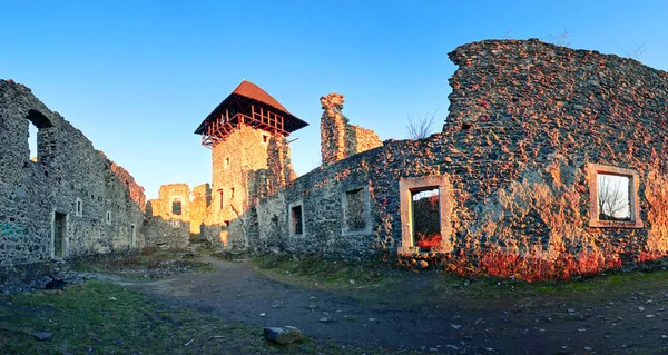 Древний Невицкий замок — стоковое фото