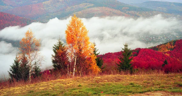 Pokutsko-ブコヴィナ、カルパティア山脈の秋 — ストック写真