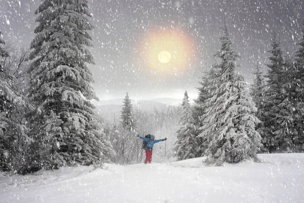 Viaje de nieve en invierno Cárpatos —  Fotos de Stock