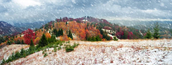 Montañas de los Cárpatos en otoño frío — Foto de Stock