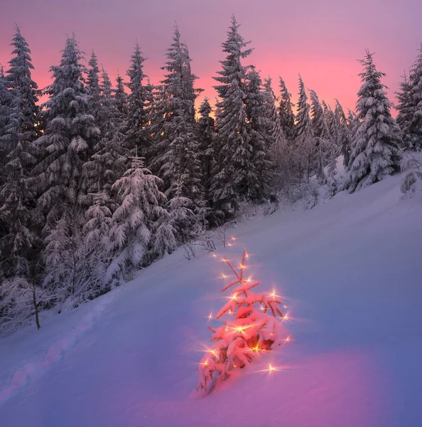 Magische kerstboom in de Karpaten — Stockfoto