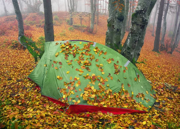 Tent backfilled with yellow leaves — Stock Photo, Image