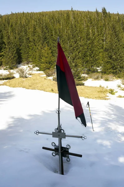 Памятник воинам в Карпатском лесу — стоковое фото