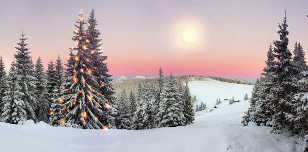 Ukrainska Karpaterna snöiga skogen — Stockfoto