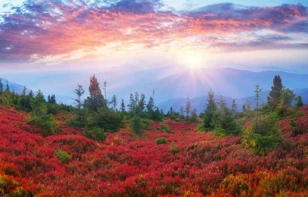 Herbstfarben in den Karpaten — Stockfoto