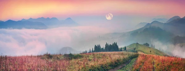 Mattina in cima ai Carpazi — Foto Stock