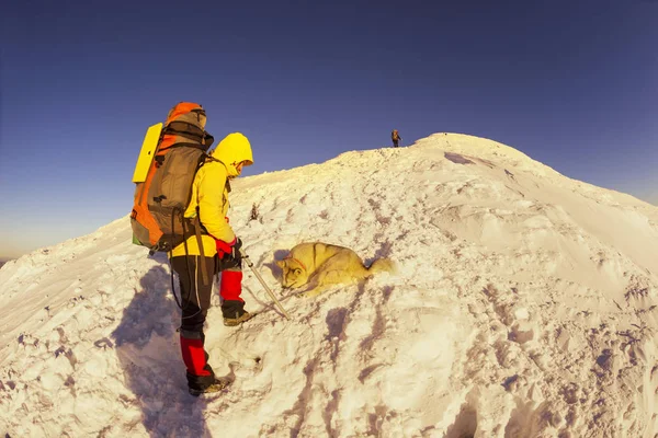 Escalador con perro en invierno Cárpatos —  Fotos de Stock