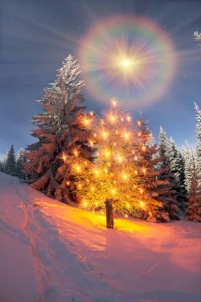 Magic Christmas tree in Carpathians — Stock Photo, Image
