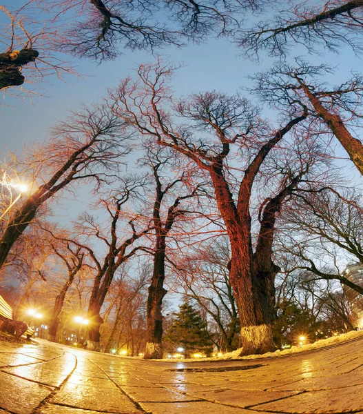 Night view in Mariinsky park in Kiev — Stock Photo ©