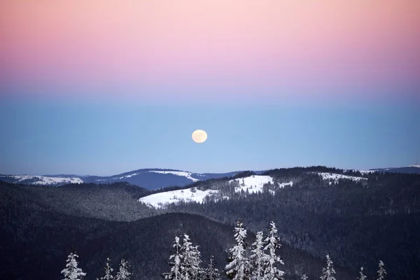 Månen i en frostig skog — Stockfoto