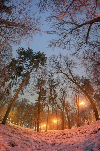 Natt park i Kiev — Stockfoto