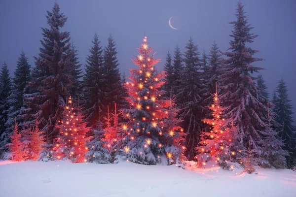 Árvore de Natal mágico em Cárpatos — Fotografia de Stock