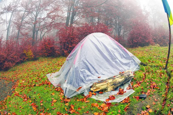 Zelt mit gelbem Laub verfüllt — Stockfoto