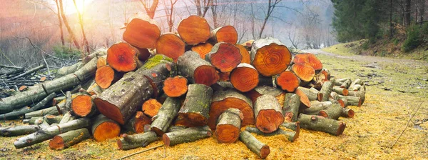 Мальовнича композиція з дров — стокове фото