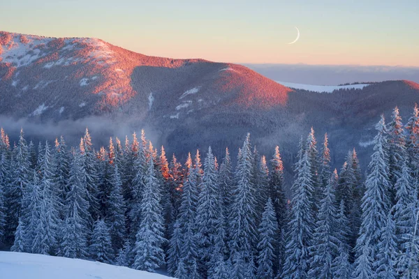 Frostiga sunrise i Karpaterna — Stockfoto