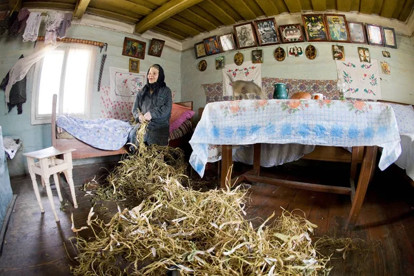 La Gutsulka dans une vieille maison — Photo