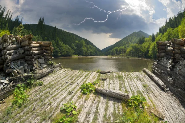 Drewniane Dam w lesie — Zdjęcie stockowe