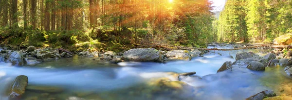 Rio ao nascer do sol na floresta dos Cárpatos — Fotografia de Stock