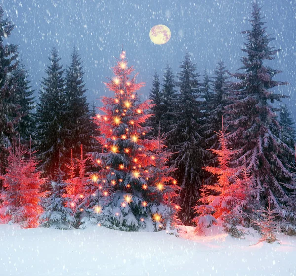 Árbol mágico de Navidad en Cárpatos — Foto de Stock