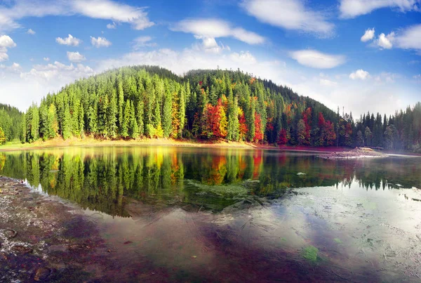 Lago Synevir en colores otoñales — Foto de Stock