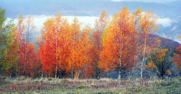 Otoño en Pokutsko-Bucovina, Cárpatos — Foto de Stock