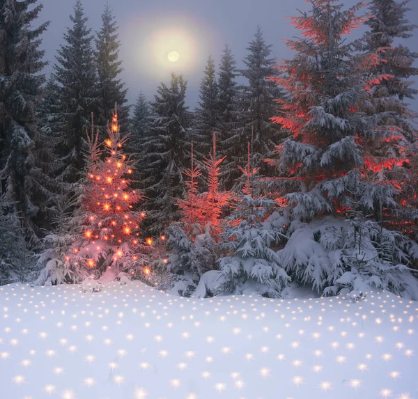 Magico albero di Natale nei Carpazi — Foto Stock