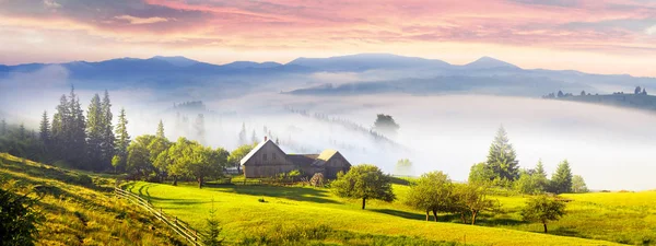 Azienda floricola nelle montagne dei Carpazi — Foto Stock