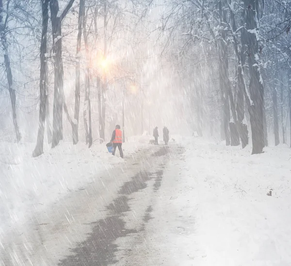 Ausführen des Hundes im Nebel — Stockfoto