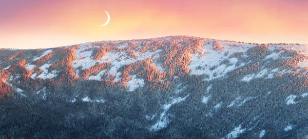 Mrazivý východ slunce v Karpatských horách — Stock fotografie