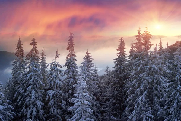 Frostiger Sonnenaufgang in den Karpaten — Stockfoto
