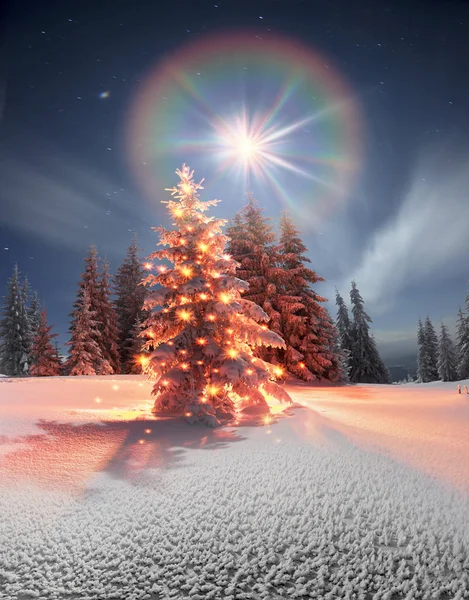 Noche de invierno helada de bautizo — Foto de Stock