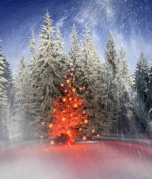 Árbol mágico de Navidad en Cárpatos —  Fotos de Stock