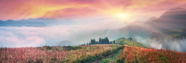 Mattina in cima ai Carpazi — Foto Stock