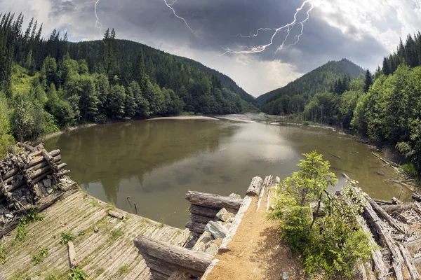 Drewniane Dam w lesie — Zdjęcie stockowe